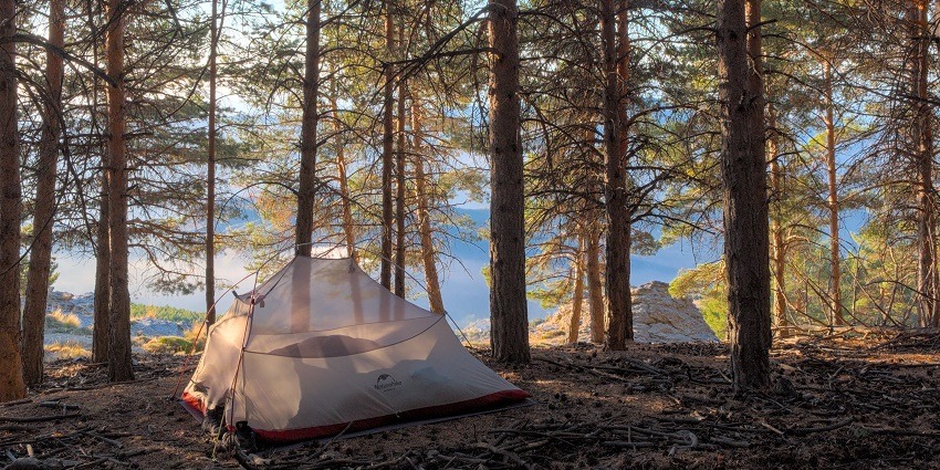 Jungle Star Nature Camp is one the fun activities to do in Maredumilli Forest areas