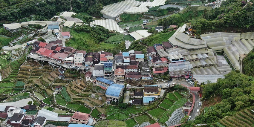 Scenic view of Cameron Highlands, a popular place for Valentine's Day in Malaysia.