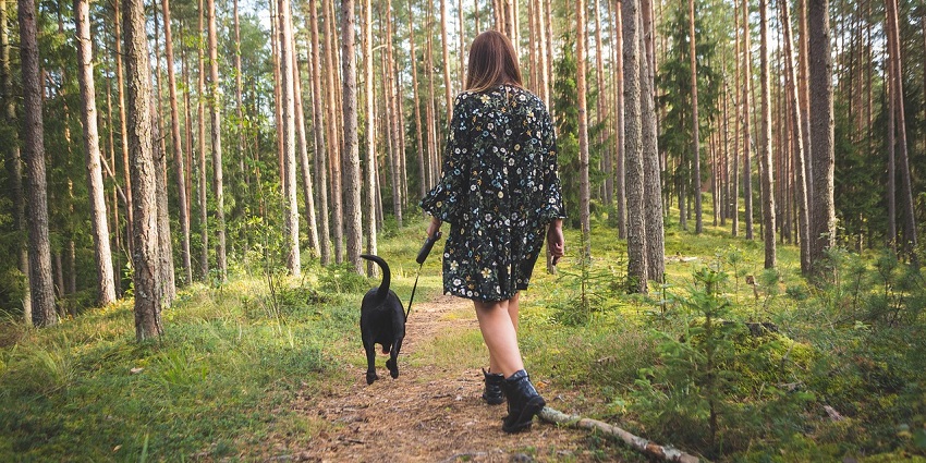 Explore nature trails at this wildlife sanctuary to learn about the local ecology