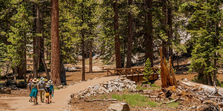 Besides witnessing various animals, here you can also enjoy a nature walk in a group.