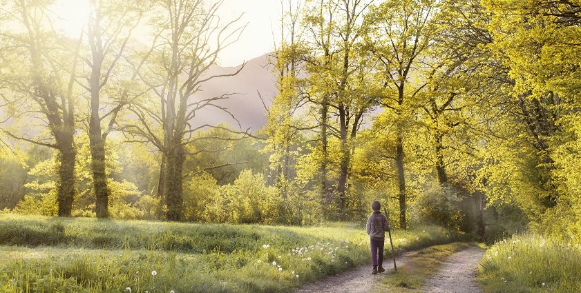 A tourist with a guide walking through the forest on a nature trail