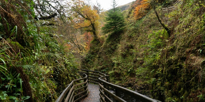 Go on nature walks at Topchanchi Lake in Topchanchi Wildlife Sanctuary