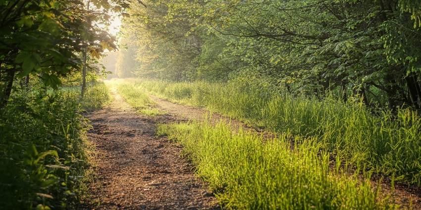 The nature trails provide immense exploration amidst the serenity of nature.
