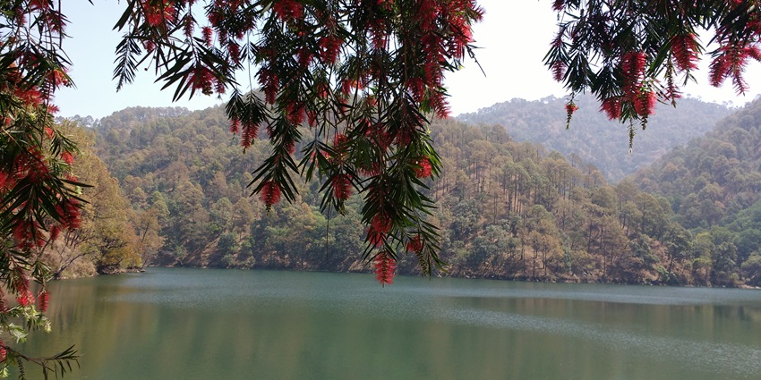Beautiful Naukuchiatal Lake in Uttarakhand, surrounded by dense greenery and serene waters