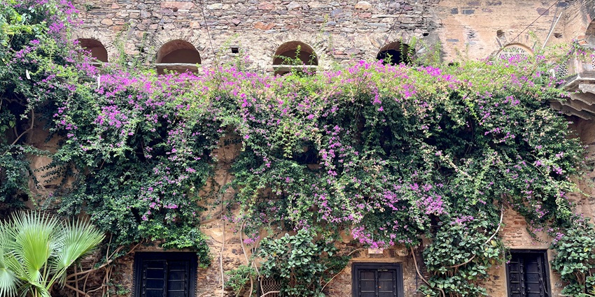 The grand Neemrana Fort, now a luxury heritage hotel, offers history and hospitality.