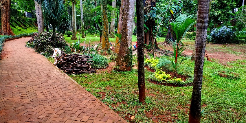 Nehru Park, is among the best tourist places in Akola and features gardens, lake, and play areas.