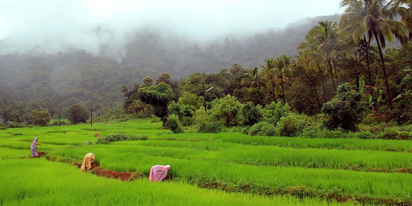Netravali is one of the most picturesque places to visit in Goa other than beaches.