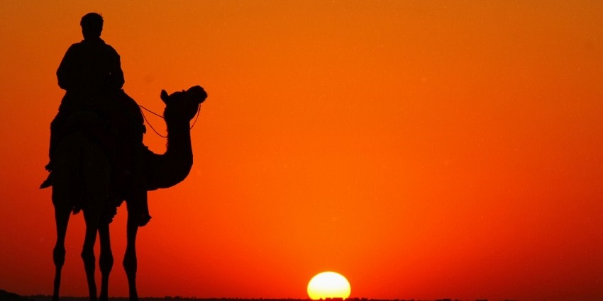 Tranquil camel ride in Thar Desert with performances and bonfire.
