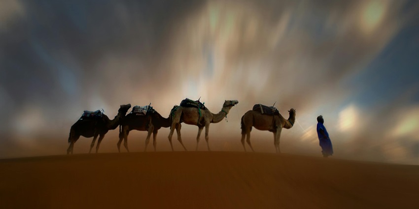 View of night Desert Safari Bikaner offers nocturnal wildlife and stargazing