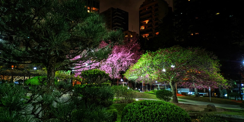 A breathtaking view of a green garden at night for all to visit and explore in Gujarat.