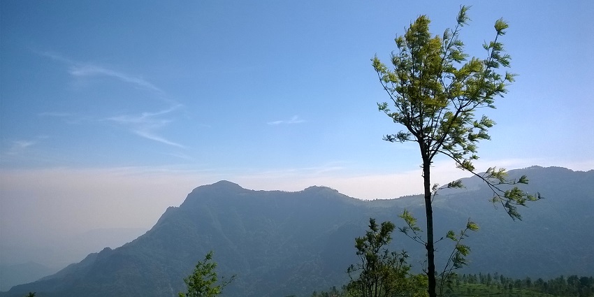 Nestled in the Nilagiri Hills, Panchalingeswar Temple address is easy to locate.