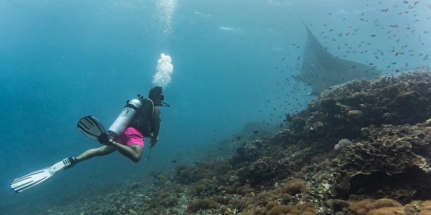 Enjoy the exciting water activity at North Male Atoll famous for its abundance of Marine life.