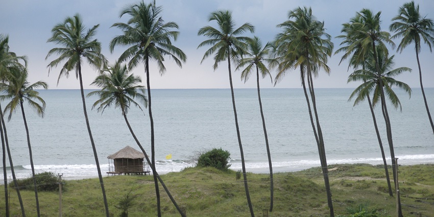 A picture of a stunning beach near Margao with abundance of tall pine trees and lush greenery