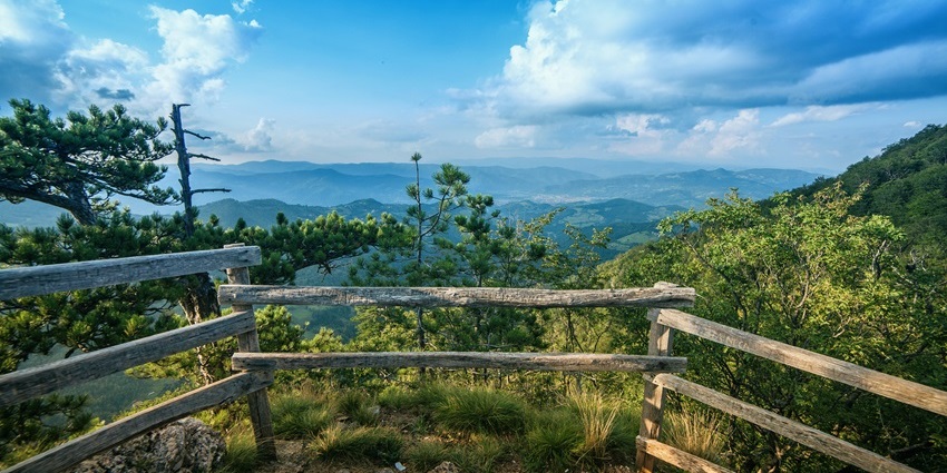 Octopus Viewpoint showcases winding hills and valleys, one of the best places to visit in Srisailam.