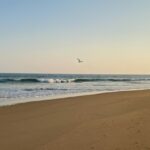 Golden sandy beach with gentle waves lapping the shore under a clear blue sky - Offbeat Places Near Puri