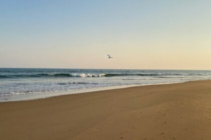 Golden sandy beach with gentle waves lapping the shore under a clear blue sky - Offbeat Places Near Puri