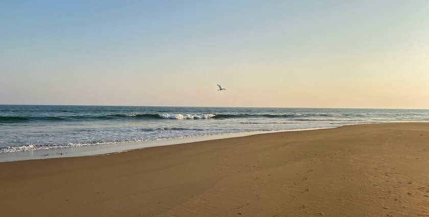 Golden sandy beach with gentle waves lapping the shore under a clear blue sky - Offbeat Places Near Puri