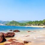 Besides the serene beaches of Goa, there are plenty of fun and offbeat things to do here