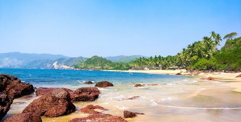 Besides the serene beaches of Goa, there are plenty of fun and offbeat things to do here