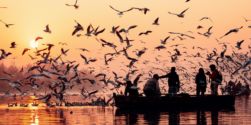 Okhla Bird Sanctuary is a must-visit place near Kalindi Kunj Water Park in the region.