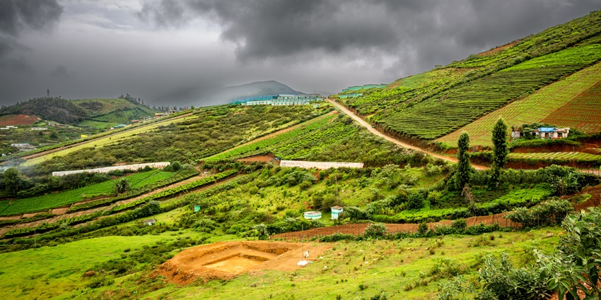 Ooty terraced tea gardens, and mist-covered mountains in the background for visitors.