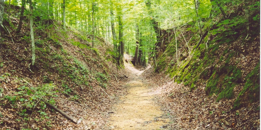 Forests inside the sanctuary offer various nature treks for adventurers and nature lovers.
