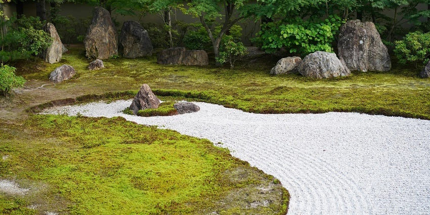 An astonishing view of the lush greenery and giant rocks at Oravakallu Rock Garden.