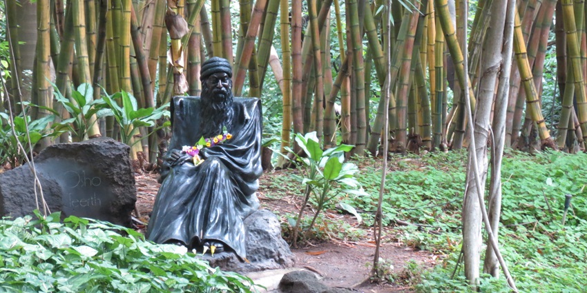 Osho Teerth Gardens offers relaxation, meditation, and nature walks in greenery.