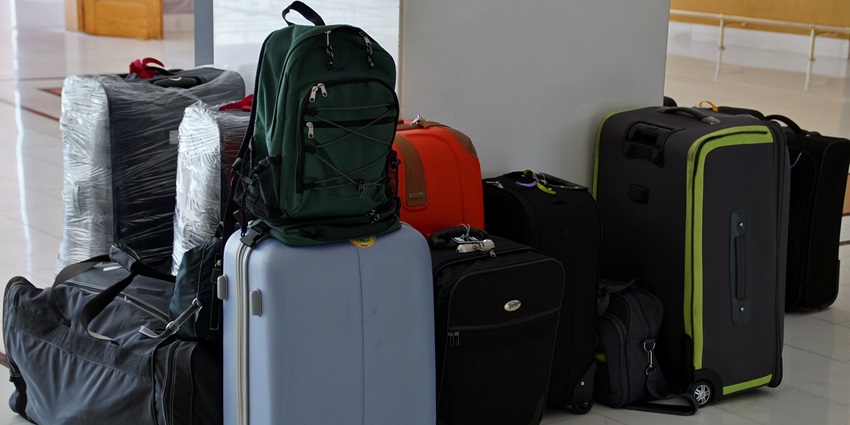Image of backpacks and other bags to carry all essentials when visiting the zoo