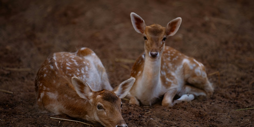 Wear good clothing and trekking equipment when visiting this wildlife sanctuary