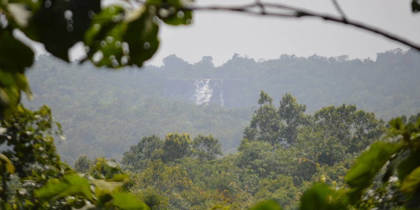 View of dense forests all around in the Barnawapara Wildlife Sanctuary