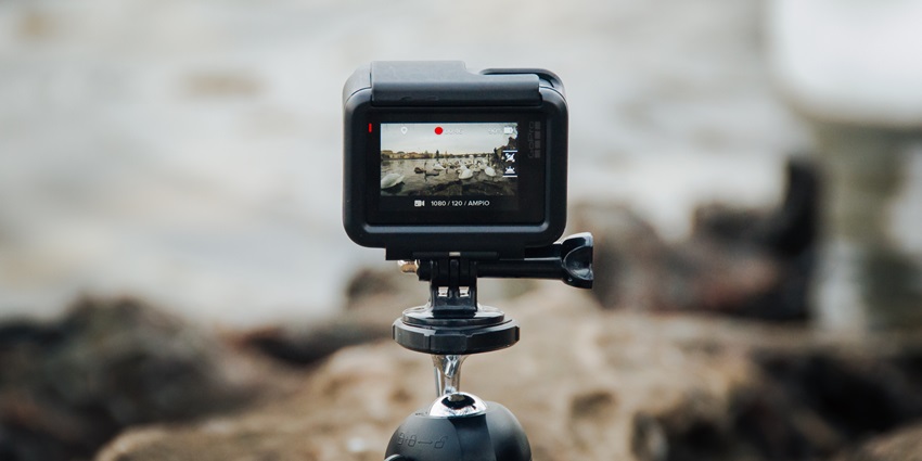 It is recommended to carry a camera along while exploring this lively attraction.