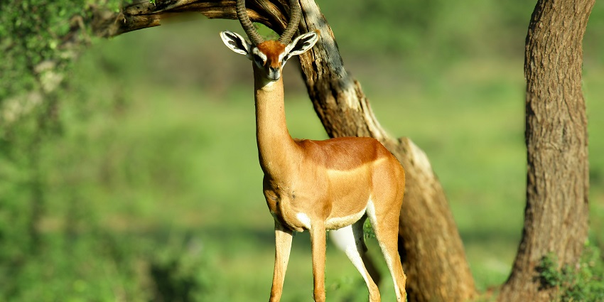 Do carry your camera and other gears to capture some stunning photographs here.