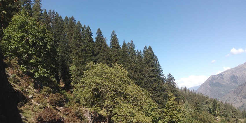 Scenic snapshot of the The hills opposite kheerganga tourist spot in Himachal pradesh