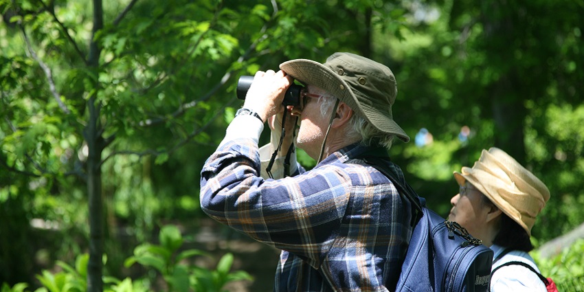 Birdwatchers in a wildlife sanctuary.
