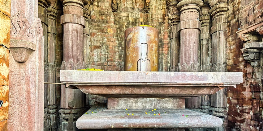 Sacred Shiva Lingam at Bhojpur Temple, surrounded by devoted worshippers in reverence.