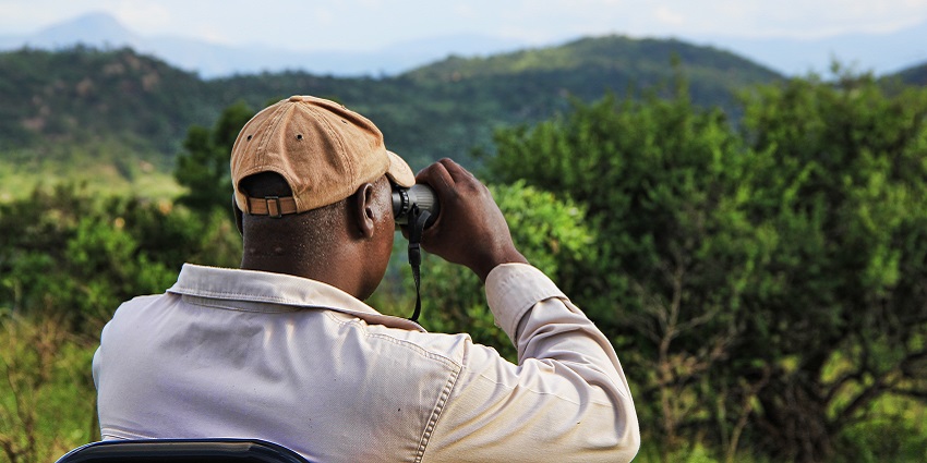 Carry binoculars to view wildlife sightings at the Coorg Wildlife Sanctuary