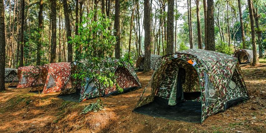Alwar’s summer exceeds 40°C that is why it is better to go camping in winters
