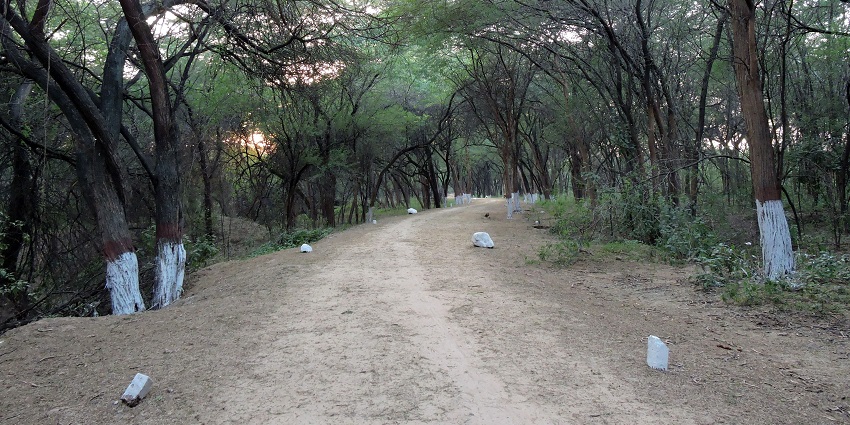 Certain necessary factors must be considered before visiting Sukhna Wildlife Sanctuary.