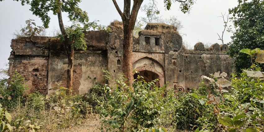 Distant view of the Palamu fort, standing amidst dense greenery