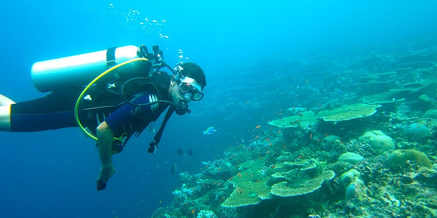 Image of man scuba diving suit showcasing coral reefs under clear blue water