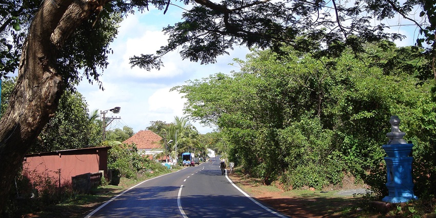 A breathtaking view of road surrounded by lush greenery leading to the doodh waterfalls.