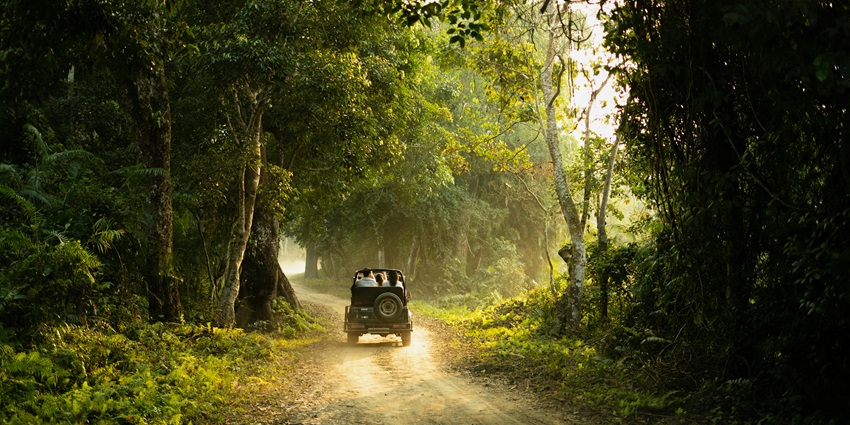 Jungle safari entry fee starts from Rs. 200 depending upon the type of safari chosen.