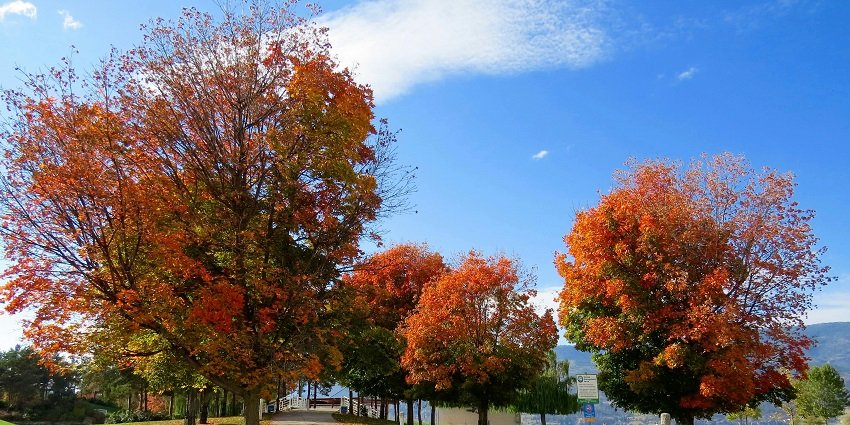 Majestic snapshot of the idyllic nature park which is home to variety of herbal plants and species