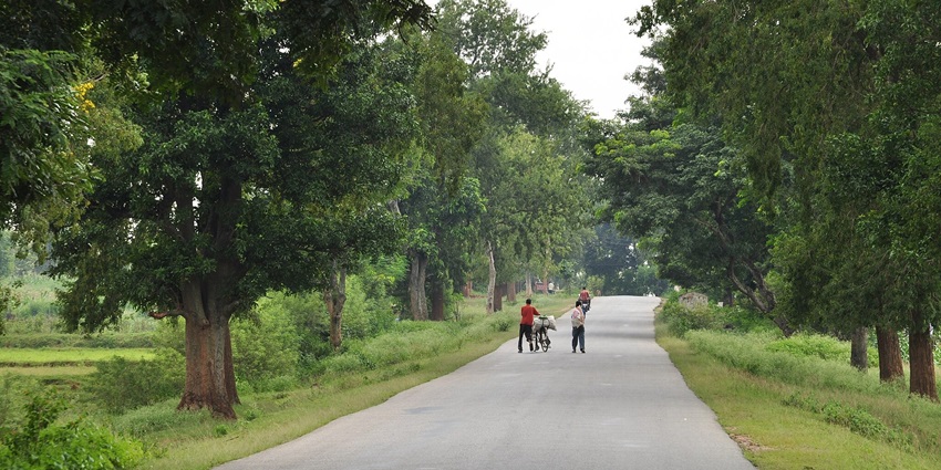 Bijupara-Khalari Road in Jharkhand a rural landscape with a tree-lined roadside