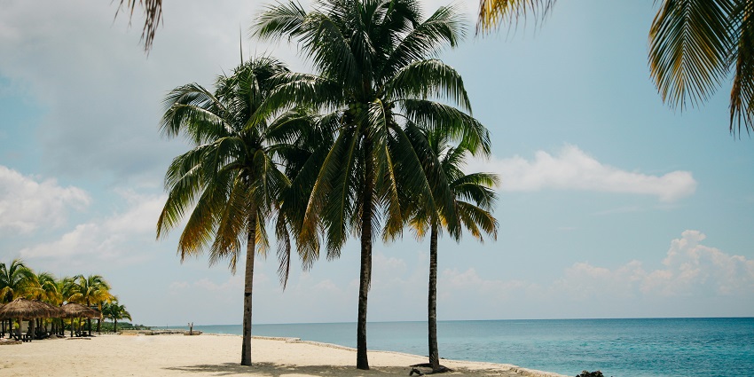 Some of the important factors to consider like average cost and some traveller tips.