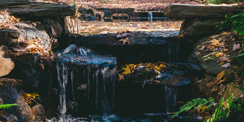 Image of a small waterfall in a dense forest cascading through the rocks