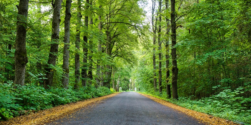 Some factors to consider before visiting the sanctuary amounts for the best trip to have.