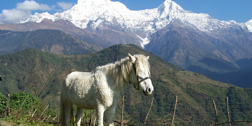 The earthy tones of the mountains, highlighting the remote and rugged beauty of the region