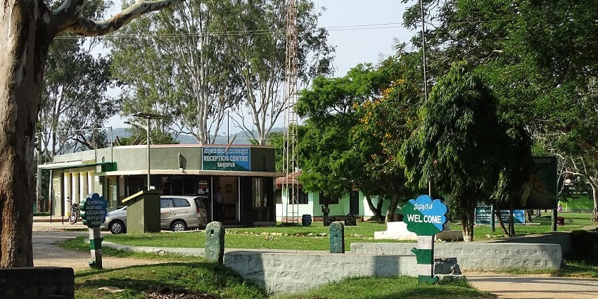 A view of Bandipur Tiger Reserve in Karnataka, India, with lush vegetation and forested landscape.